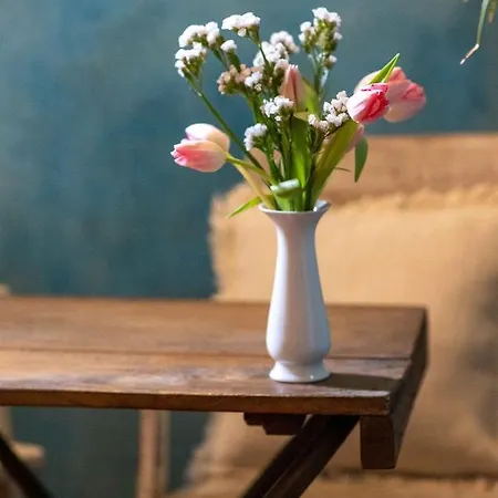 Fuordarno Bed & Breakfast *